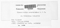 Image Associated With the Occurence
